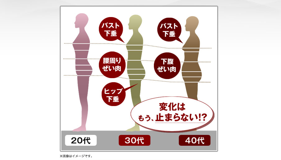 マルコ補正下着